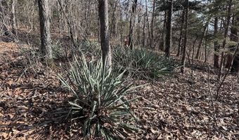 Pecks Drive N, Bergman, AR 72615