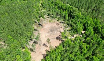 0 AL SR 223, Banks, AL 36005