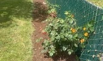 491 H St, Arcata, CA 95521