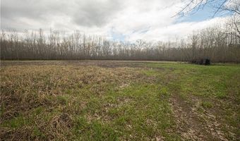 Tbd SW 1151 Road, Blairstown, MO 64726