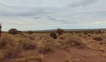 42 N5576, Concho, AZ 85924