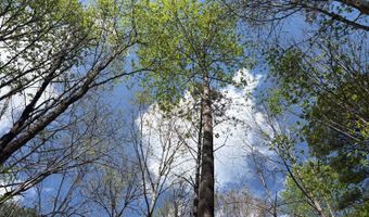 274 CR 3301, Booneville, MS 38829