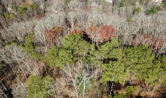 00001 Hwy 369, Ball Ground, GA 30107