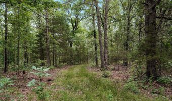 17585 Co Rd #Af-304, Ava, MO 65608