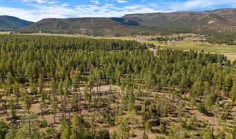 CR 2193, Alpine, AZ 85920