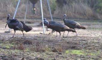 001 Old Stage Rd, Atmore, AL 36502