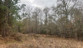 TBD County Road 86, Abbeville, AL 36310