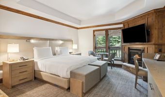 415 E Dean St Unit 10 Weeks 51 + 52, Aspen, CO 81611