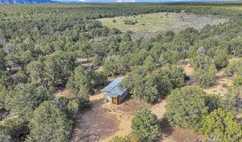 77 North Rd, Carson, NM 87517
