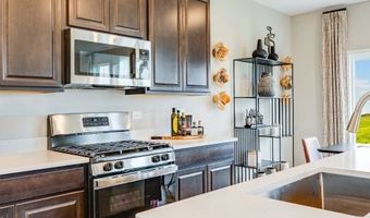 1245 Glenmont St, Algonquin, IL 60102