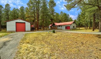 37 Pine Valley Dr, Angel Fire, NM 87710