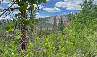 847 County Road 787, Alma, CO 80420