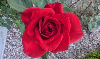 2990 Harrison Dr, Chino Valley, AZ 86323