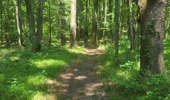 3537 Lake Ridge Ln, Allegan, MI 49010