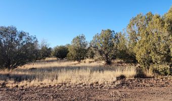 88- D Rose Ln, Ash Fork, AZ 86320
