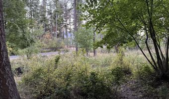 524 Glacier Loop, Bayview, ID 83803