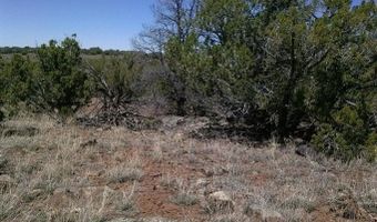 Tbd CR 8026, Concho, AZ 85924
