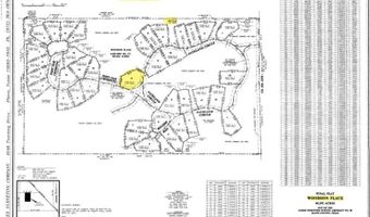 Rs Private Road 6372, Alba, TX 75410