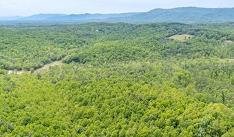 Ahart Ridge Rd lot 58 60 61, Ararat, VA 24053