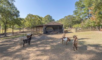 193 Pineland Meadows Rd, Belton, SC 29627