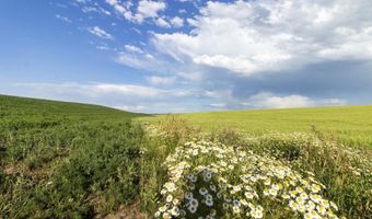 TBD E 1400 N, Ashton, ID 83420