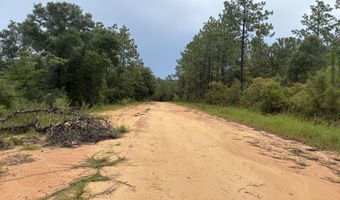 Odum Street lot 29, Alford, FL 32420