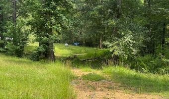 148 Butler Dr, Braxton, MS 39044