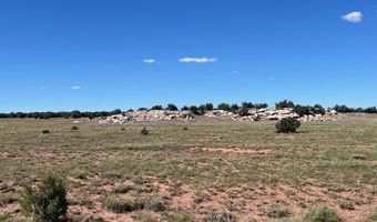 002 N9027, Concho, AZ 85924