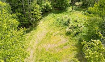 1361 Weaver Hollow Rd, Andes, NY 13731