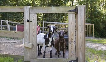 8405 E Patrick Henry Rd, Ashland, VA 23005