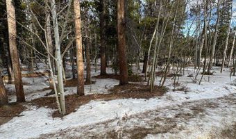 121 Aurora Rd, Black Hawk, CO 80422