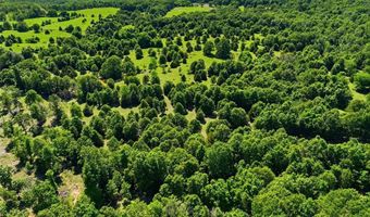 210 County Road 320, Alton, MO 65606