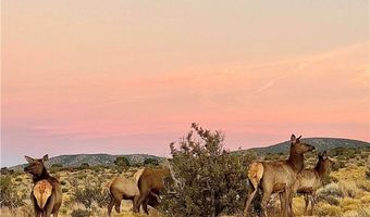 159 Eagle Nest Cir, Cold Creek, NV 89124