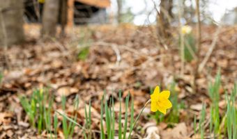1034 GREENVIEW, Basye, VA 22810