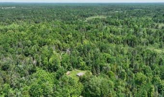 6002 Wildwood, Alger, MI 48610