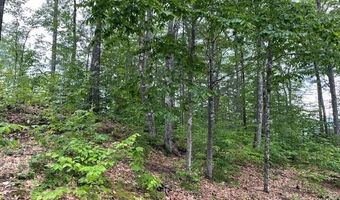 12 Peaked Hill Rd, Ashland, NH 03217