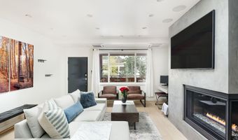 450 S Original St 8, Aspen, CO 81611