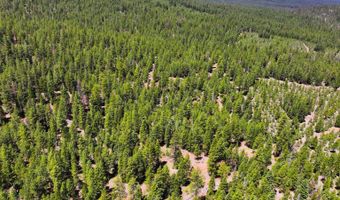 8193 Carlsberg Rd, Alturas, CA 96101