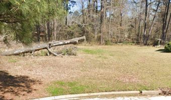 1074 Halton Ct, Brandon, MS 39047