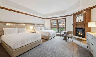 415 E Dean St Unit 38 Week 33, Aspen, CO 81611