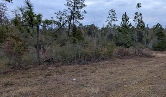 Vancouver Drive, Alford, FL 32420