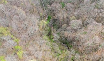 47691 E Captina Highway Rd, Alledonia, OH 43902