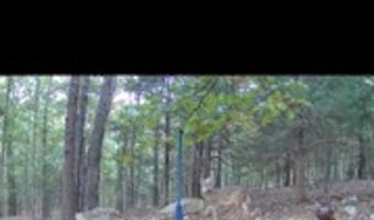 81 Wildwood Dr, Ash Flat, AR 72513