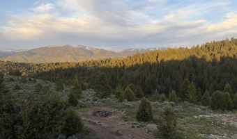 785 STONEGATE Dr, Afton, WY 83110