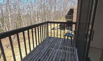 393 SPITZ Ln 99, Basye, VA 22810
