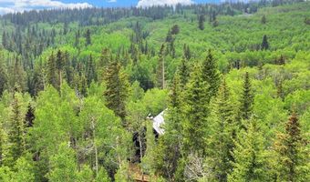 227 Roberts Rd, Alma, CO 80420
