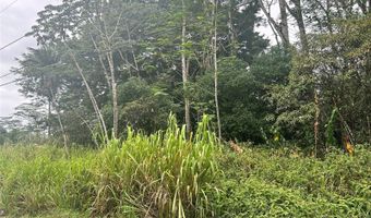 14 Th Ave, Keaau, HI 96749