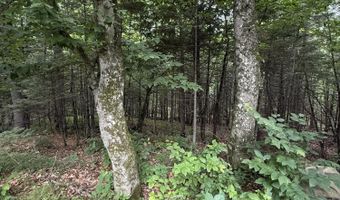 99 Lloyd Rd, Anson, ME 04911
