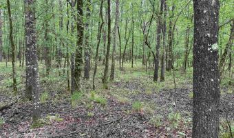 0 CR 3216, De Kalb, TX 75559