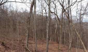Route 12 Road, Alum Creek, WV 25003